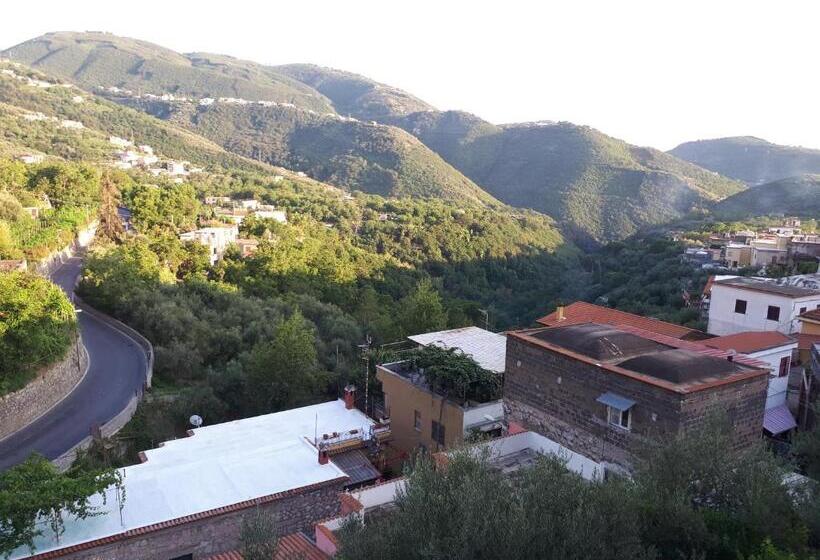 Nocleg ze śniadaniem Hill Valley View