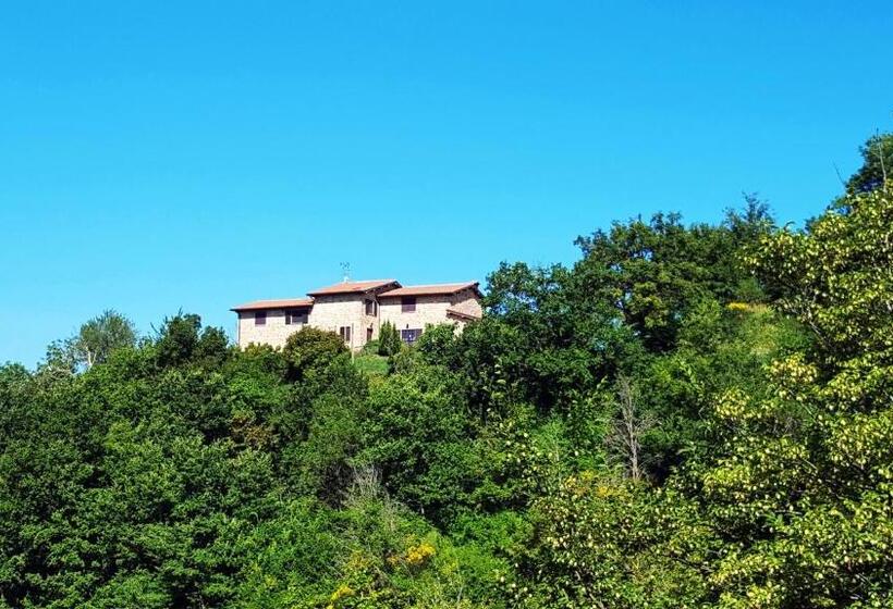 בית מלון כפרי Cannabis Clinic & Restaurant