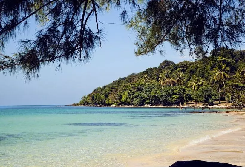 Отель Ajinta Resort