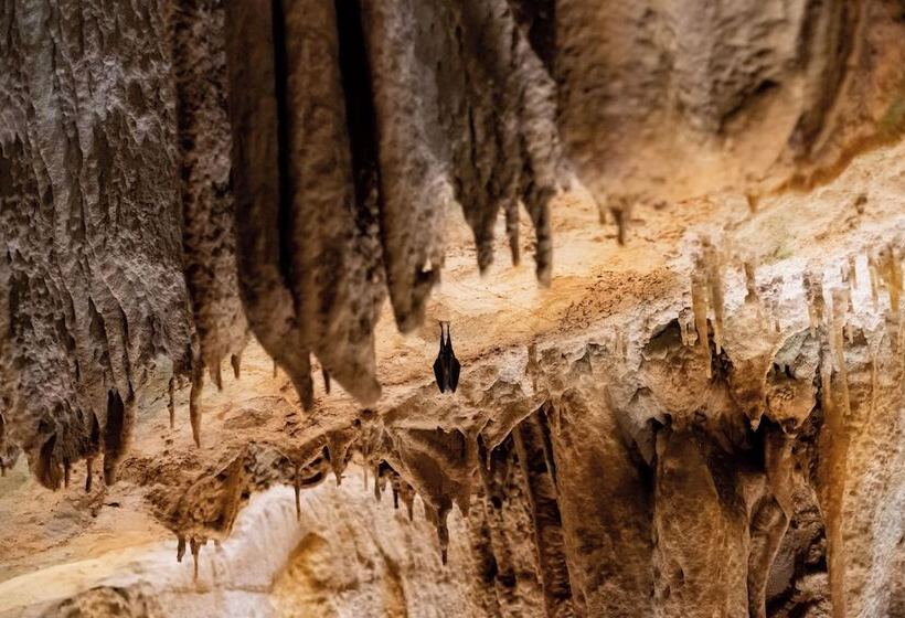 בית מלון כפרי De Charme Casa Da Amieira