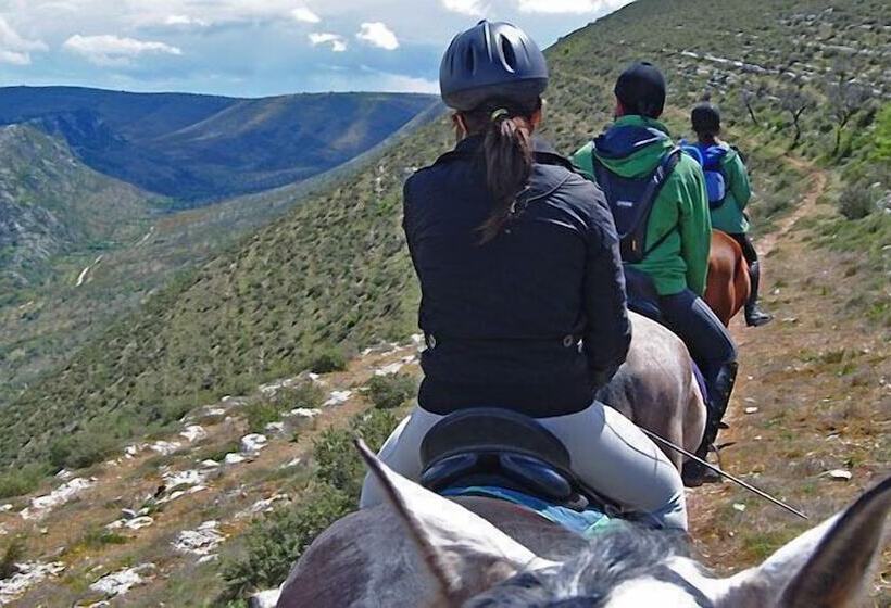 בית מלון כפרי De Charme Casa Da Amieira