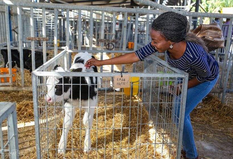 Hotelli Shaar Hagolan Kibbutz Country Lodging