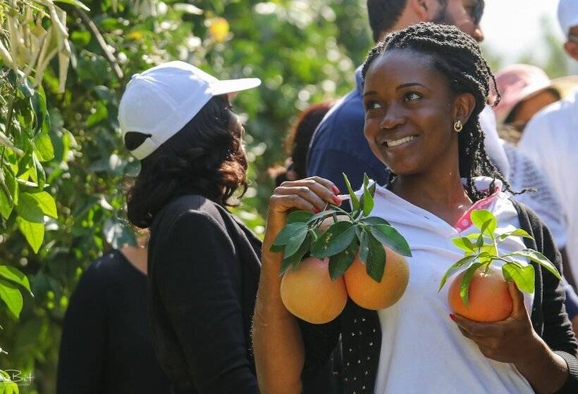 Hotelli Shaar Hagolan Kibbutz Country Lodging