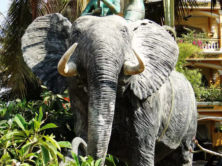 Hotel Terrasse Des Elephants