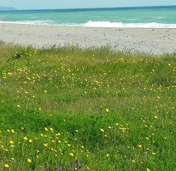 تختخواب و صبحانه Acqua E Fuoco Chez Rachel