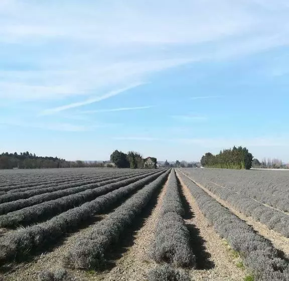 ベッドアンドブレックファースト Au Pays Du Ventoux