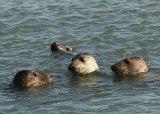 B&b Het Onderduukertje