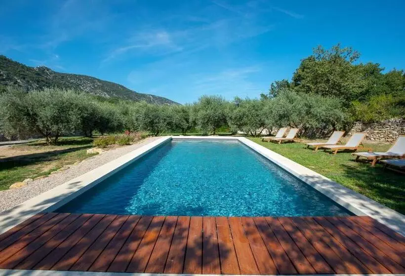 Aamiaismajoitus (B&B) Le Champ Des Oliviers