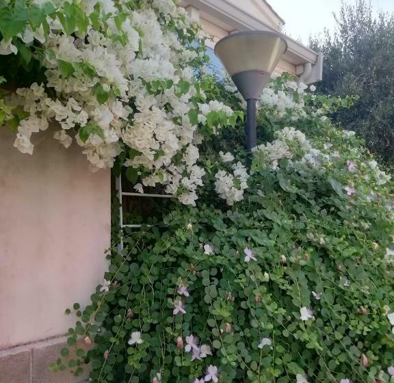 ペンション Lo Zahir