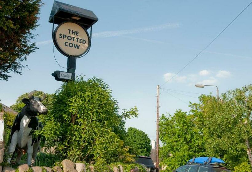 بنسيون The Spotted Cow
