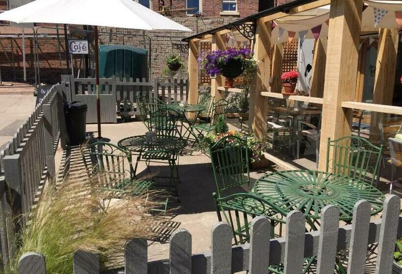 بنسيون The Spotted Cow