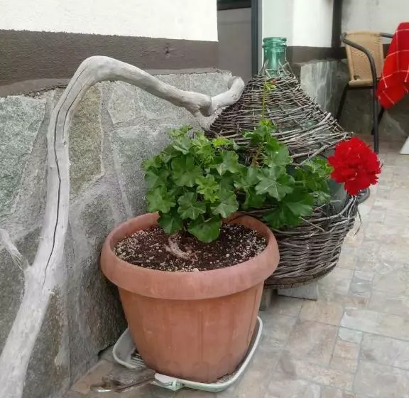 هتل Agriturismo Alla Mal Parata