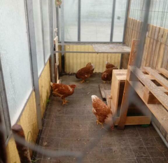 בית מלון כפרי Agriturismo Alla Mal Parata