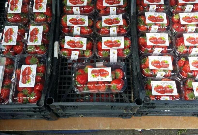 בית מלון כפרי Agriturismo Alla Mal Parata