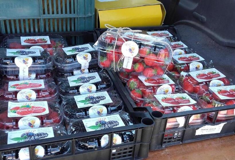 בית מלון כפרי Agriturismo Alla Mal Parata