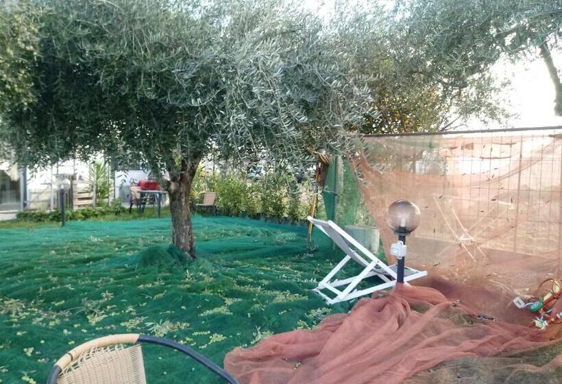 בית מלון כפרי Agriturismo Alla Mal Parata