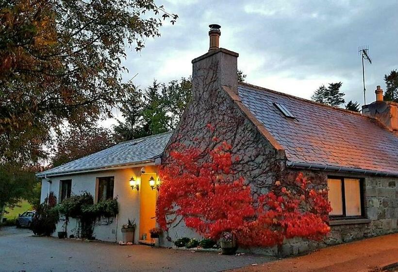 Lilyoak B&b & Self Catering Apartment