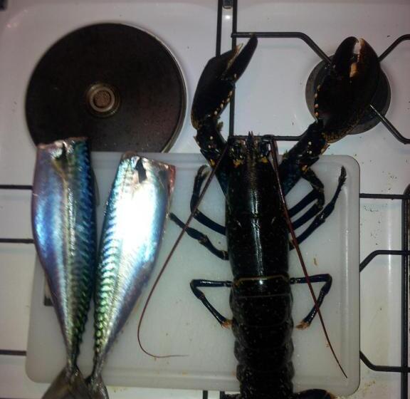 بنسيون Chambre Spacieuse, Moderne Et Très Confortable à Perros Guirec