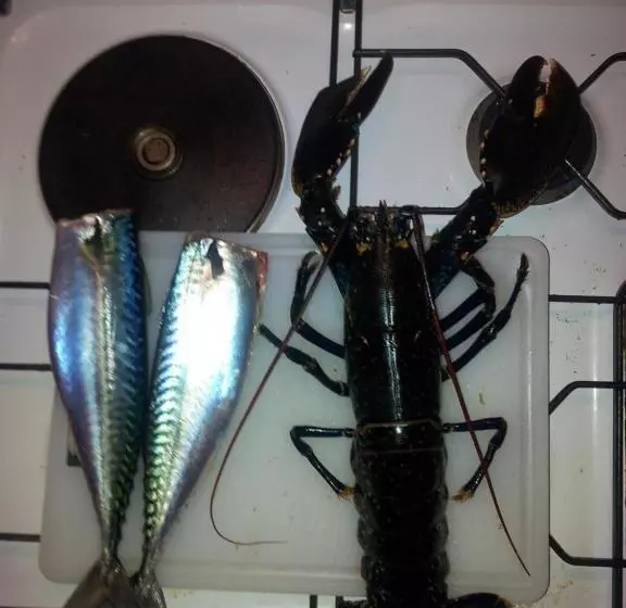 ペンション Chambre Spacieuse, Moderne Et Très Confortable à Perros Guirec