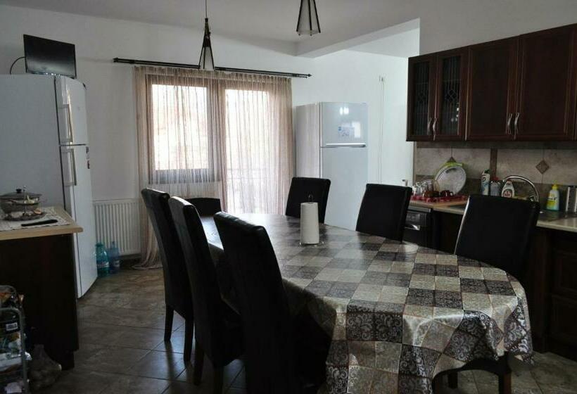 פנסיון Vila Teoharie