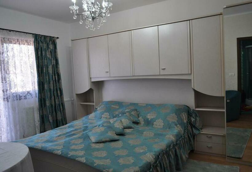 פנסיון Vila Teoharie