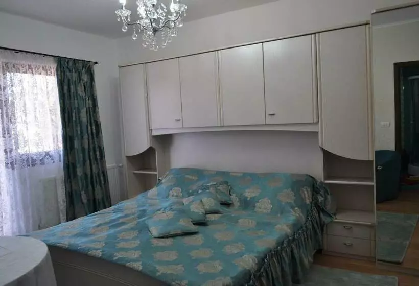 ペンション Vila Teoharie