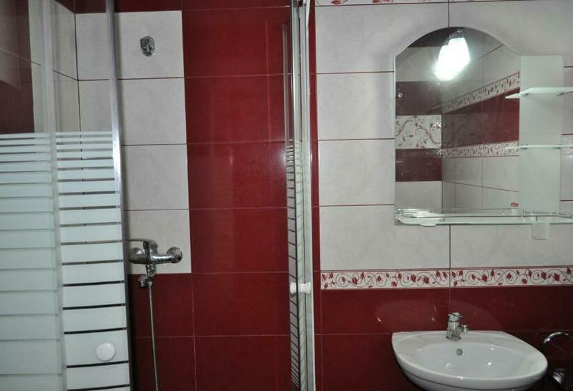 פנסיון Vila Teoharie