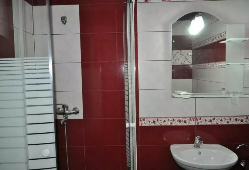 ペンション Vila Teoharie