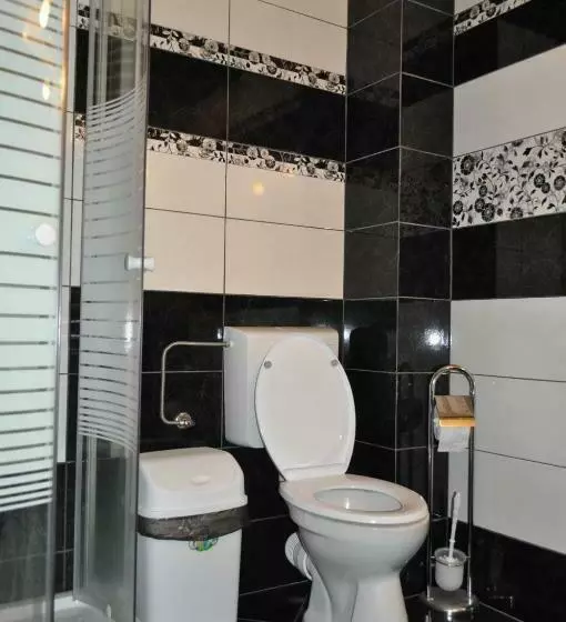 ペンション Vila Teoharie