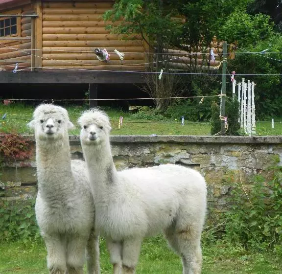 ベッドアンドブレックファースト Kotas Esprit Nordique