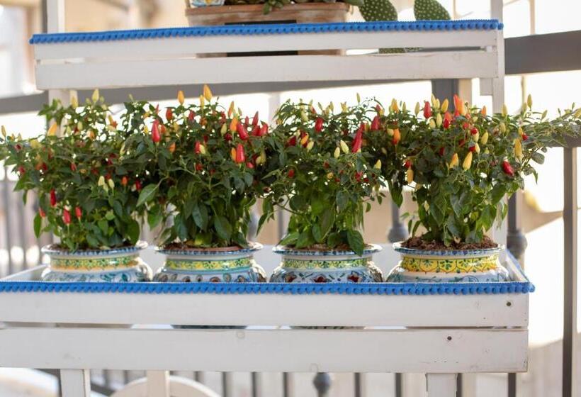 تختخواب و صبحانه Luna D Arte