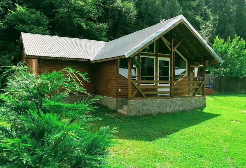 پانسیون Casa De Vacanta Aurelia