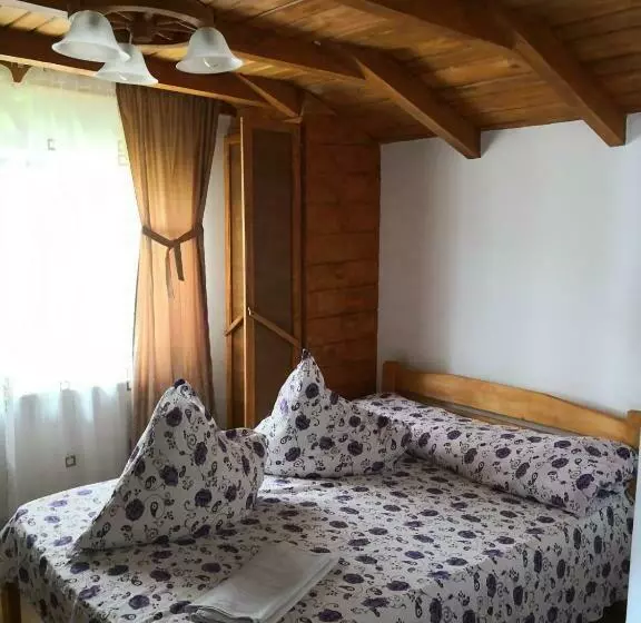 Majatalo Casa De Vacanta Aurelia