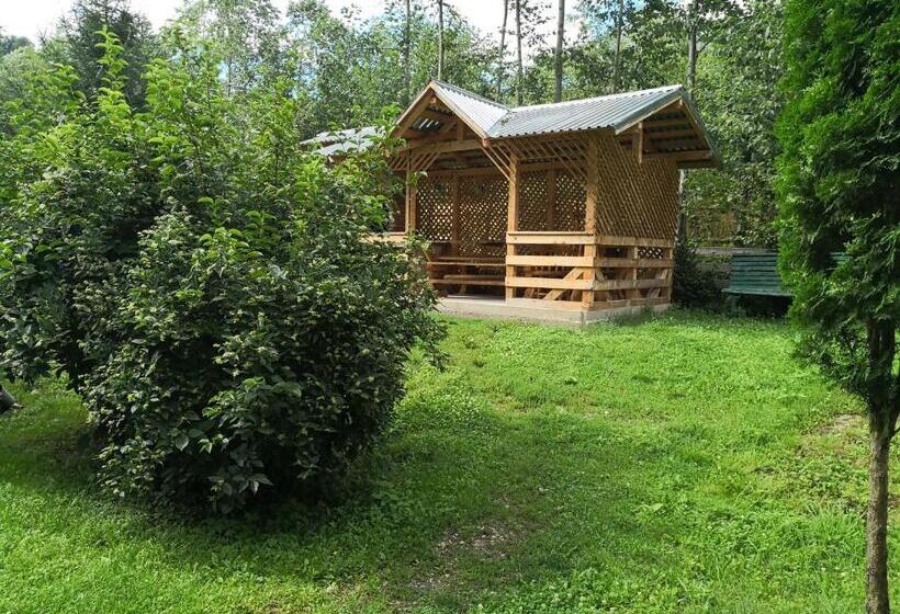 پانسیون Casa De Vacanta Aurelia