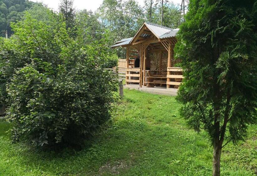 پانسیون Casa De Vacanta Aurelia