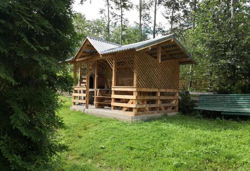 پانسیون Casa De Vacanta Aurelia