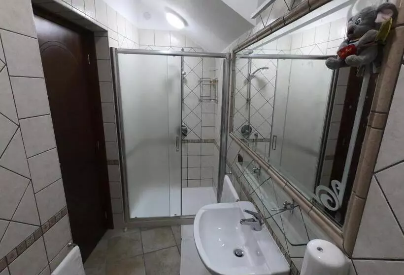 ペンション Re Vincy   Affittacamere