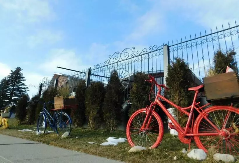 The Calgary Hub Hostel Style Home