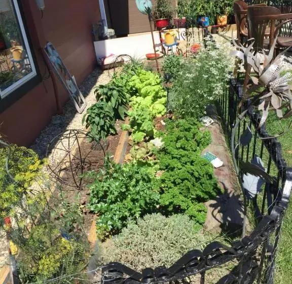 The Calgary Hub Hostel Style Home