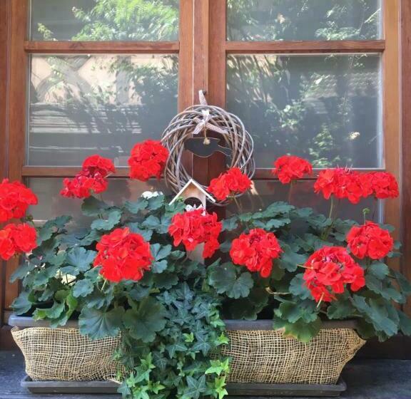 민박 Au Merlenchanteur