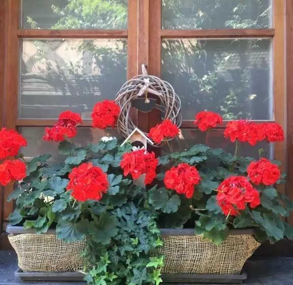 ベッドアンドブレックファースト Au Merlenchanteur