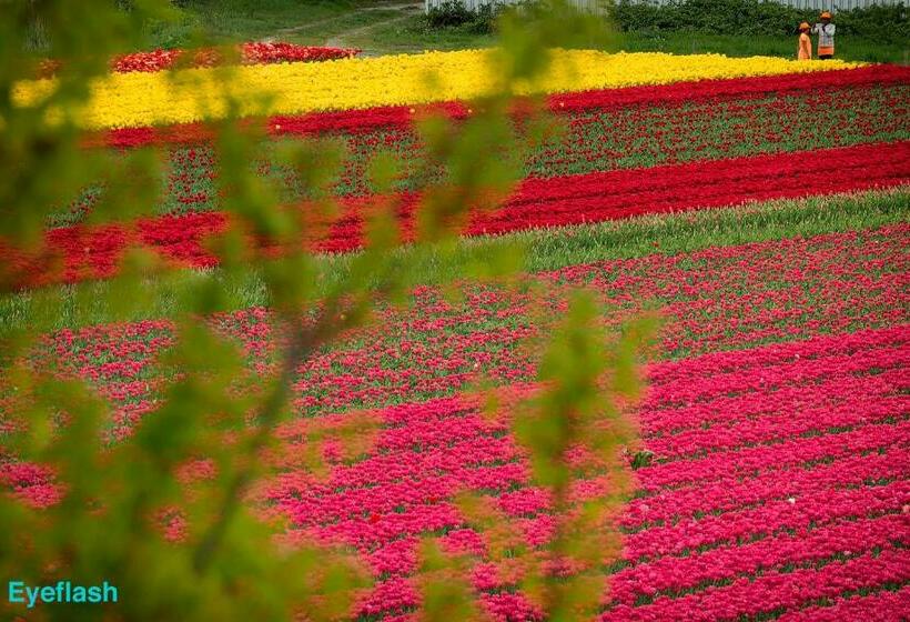 Bed and Breakfast Liv Inn