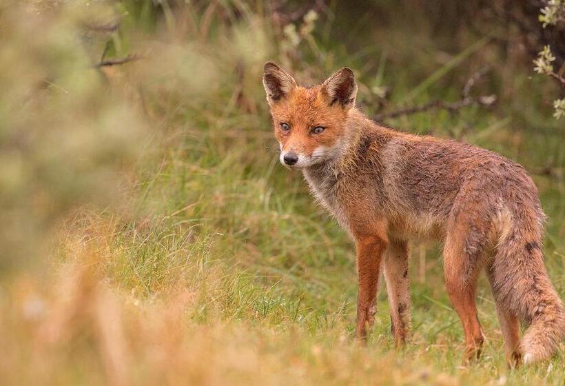 Bed and Breakfast Liv Inn