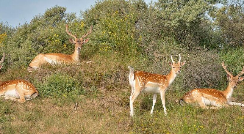 Bed and Breakfast Liv Inn