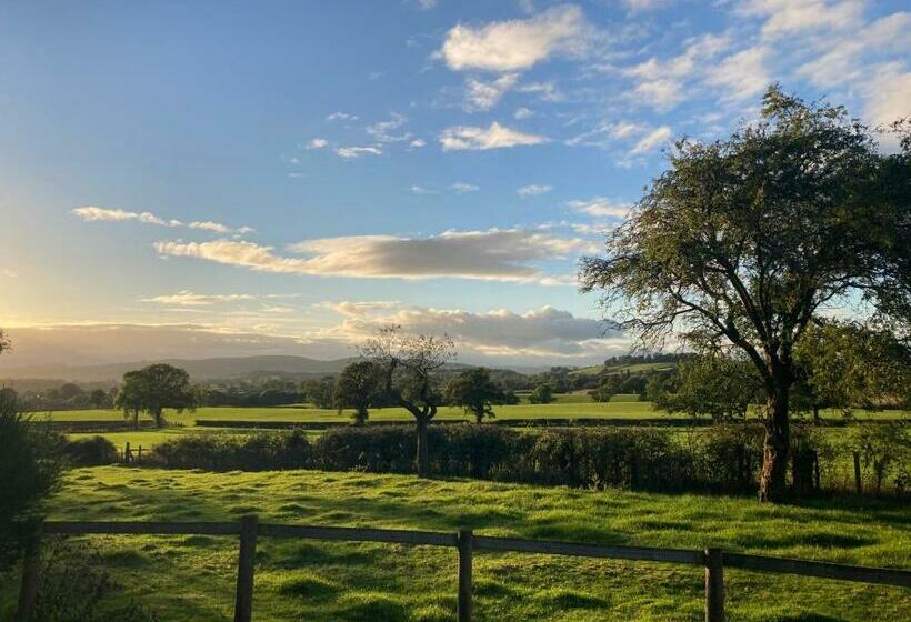 Hotel Ludlow Vintage Airstream