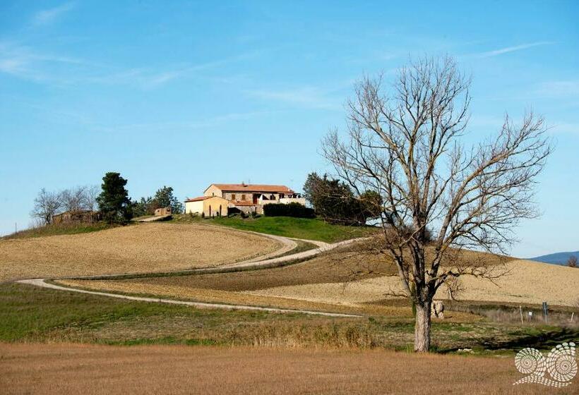 ホテル Poggio Alla Pietra 26