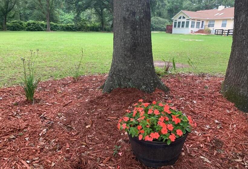 פנסיון The Barn