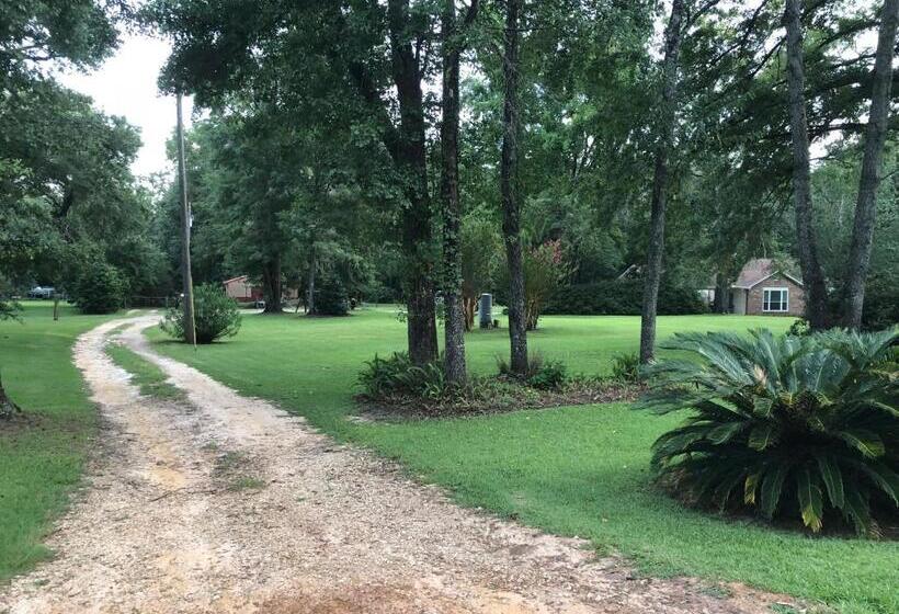 פנסיון The Barn