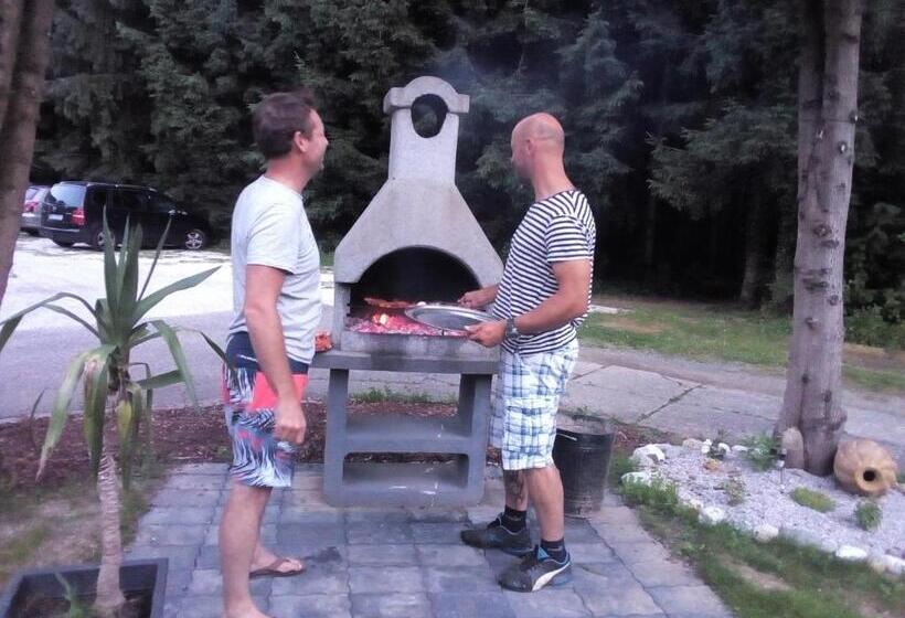 Pension Villa Louise