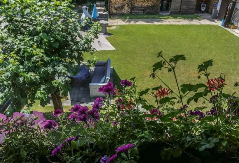 Pension Villa Louise